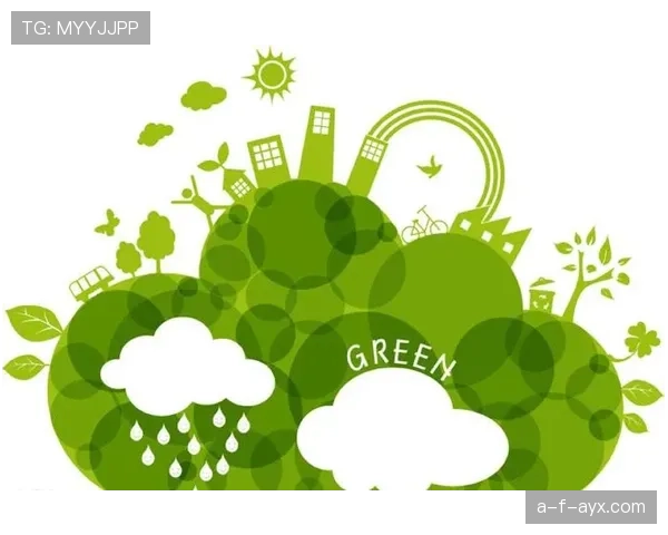 布鲁日推进新项目，以可持续发展引领旅游业新突破