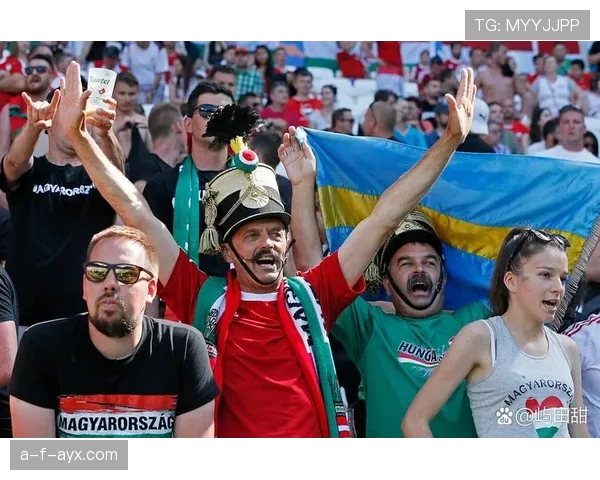 英超赛场惊现精彩进球，球迷热情沸腾欢庆瞬间