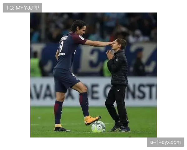 凯恩 vs 伊布:核心作用与战术支点差异 凯恩 vs 伊布:核心作用与战术支点差异