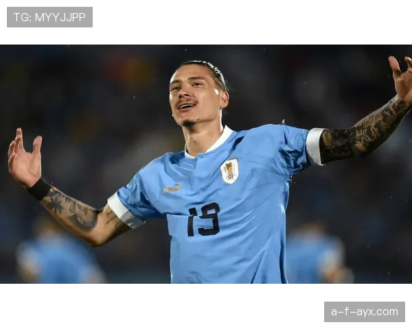 努涅斯国家队表现稳定性与效率分析