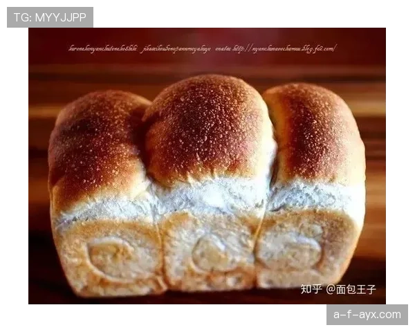 山口茜每天吃三顿牛排配蛋白粉，训练完直接睡冷冻舱？