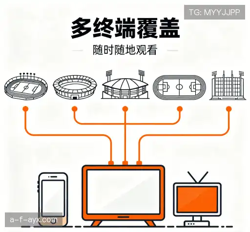 我们的关键优势